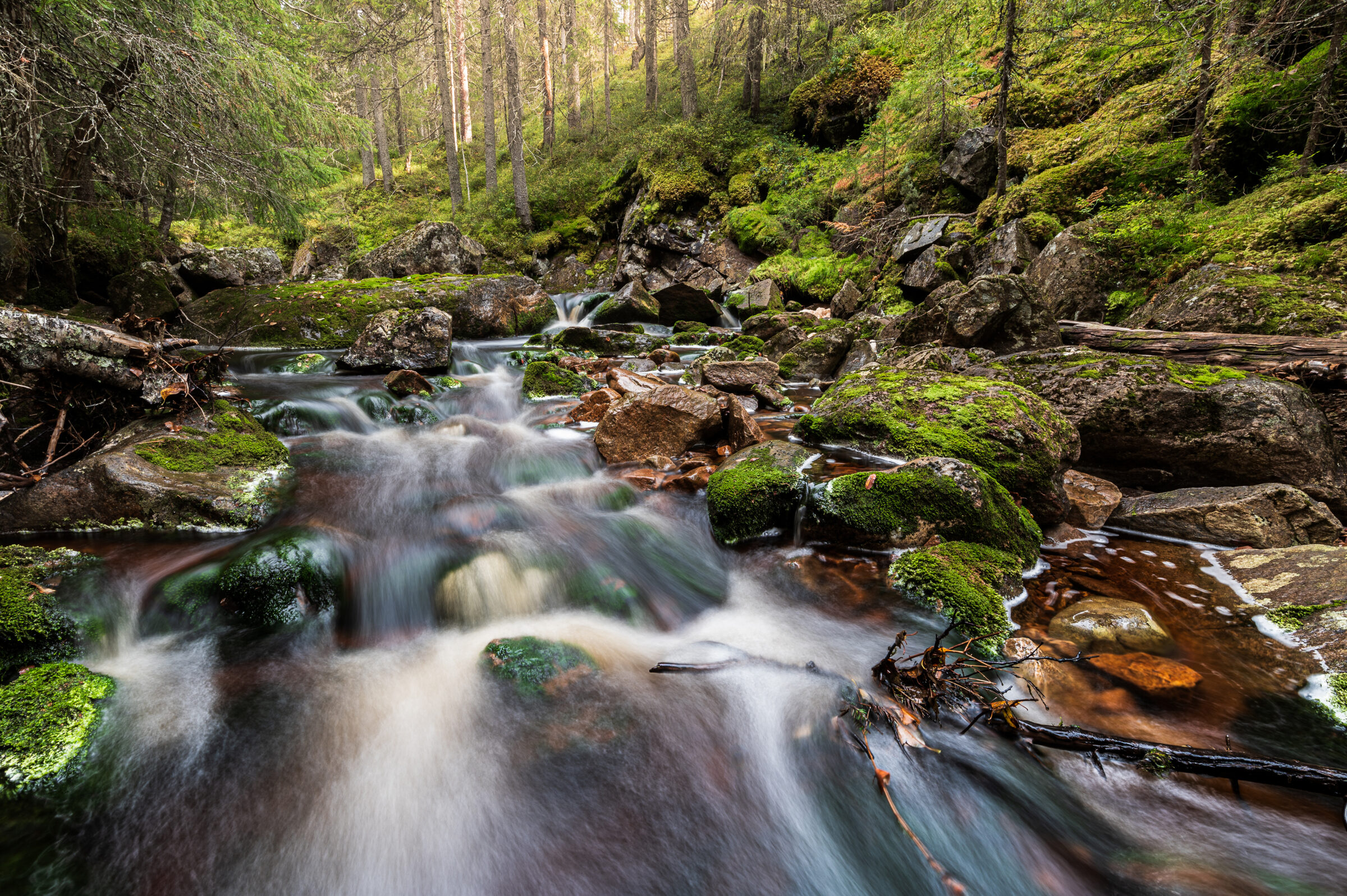 Skogsbäck över mossiga stenar — Dalarna